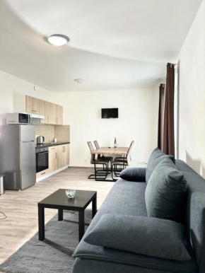 Sky Apartments 509 Plzen